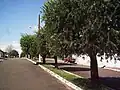 A street with trees