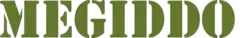 Computer Simulation of Battle Honour