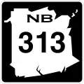 Route 313 marker
