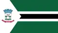 Flag of Nanuque, Minas Gerais, Brazil