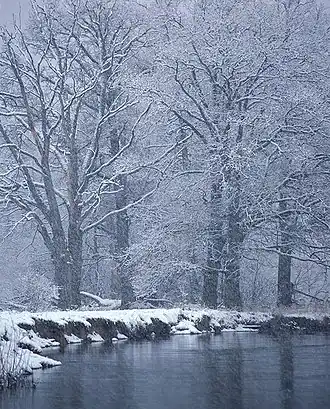 River Nerussa, Bryansk Nature Reserve