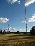 Base and surrounding environment of the tower.
