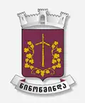 Official seal of Ninotsminda Municipality