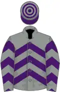Grey, purple chevrons, purple and grey hooped cap