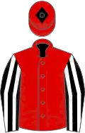 Red, black and white striped sleeves, red cap, black diamond