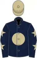 Dark blue, beige disc, dark blue sleeves, beige stars, beige cap