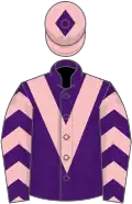 Purple, pink chevron, Purple sleeves, Pink chevrons, Pink cap, Purple diamond