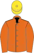 Orange, brown seams on body, yellow cap