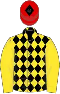 Black and yellow diamonds, yellow sleeves, red cap, black diamond