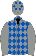 Grey And Royal Blue Diamonds, Grey Sleeves, Grey cap, Royal Blue Diamonds