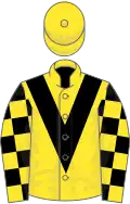 Yellow, black chevron, check sleeves