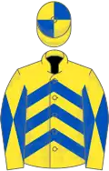 Yellow and royal blue chevrons, diabolo on sleeves, quartered cap