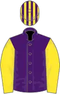 Purple, yellow sleeves, striped cap