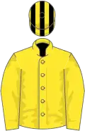 Yellow, yellow and black striped cap