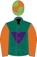 Dark Green, Purple inverted triangle, Orange sleeves, Light Green and Orange quartered cap