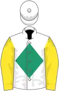 White, green diamond, yellow sleeves, white cap