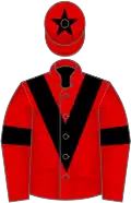 Red, black chevron, armlets and star on cap