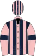 Pink and dark blue stripes, pink sleeves, dark blue armlets