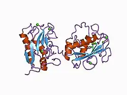 1b3d: STROMELYSIN-1