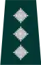 PSNI chief inspector