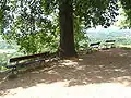Panoramic point