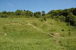 Park Gate Down