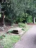 Cats Grave