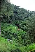 Port of Spain Hills