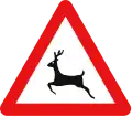 Animals (option 2)