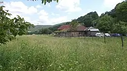 Lazuri