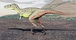 Raptorex