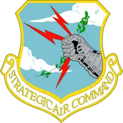 Strategic Air Command Emblem