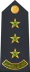 Naqib