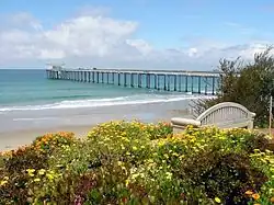Scripps Pier in La Jolla Shores