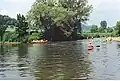 Confluence with the Sauer