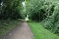 Sewell Cutting