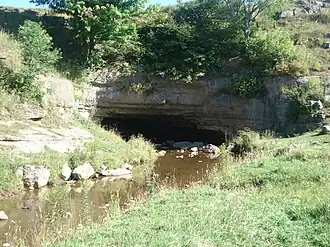 The Sinks of Gandy Creek
