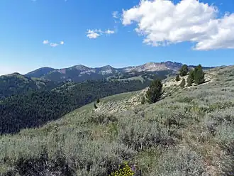 The Soldier Mountains viewed from the north