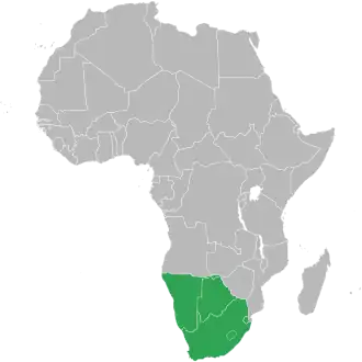 Members of the SACU