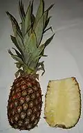 Ananas (pineapple) infructescence