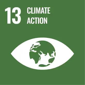 Green logo for Goal 13 of the SDGs - Climate Action
