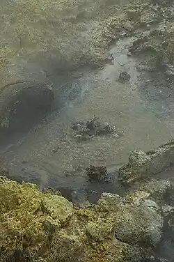 Mud pool at Tikitere ("Hell's Gate"), Rotorua