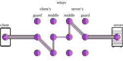 A client, represented as a phone, sending traffic to an onion labelled the client's "Guard" with five nested lines, then going to a "Middle" onion with four nested lines, then going to another "Middle" with three nested lines, then going to the server's "Middle" via two nested lines, going to another "Middle" with three nested lines, going to a "Guard" with four nested lines, and finally going to the Server with five nested lines.