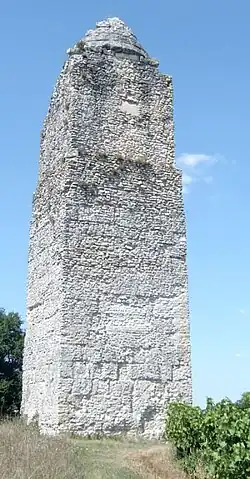 General view.