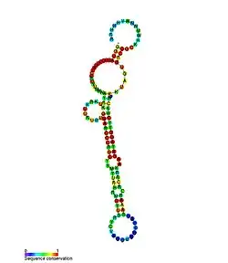 tp2: Secondary structure taken from the Rfam database. Family RF02030