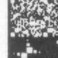 detail of Twibright Optar scan from laser printed paper, carrying 32&nbsp;kbit/s Ogg Vorbis digital music (48 seconds per A4 page)
