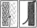Underside couching, front (left) and back (right)