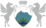 Flag of Žabljak